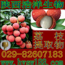 供应荔枝提取物 天然植物提取物的价值与选购指南